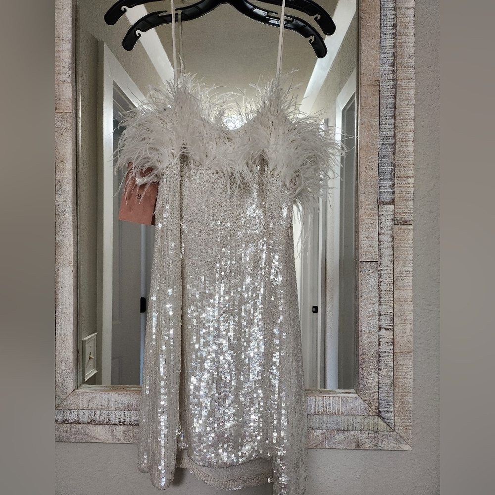 Audrey Adele Adelaide Feather & Sequin Mini Dress - Picture 11 of 11